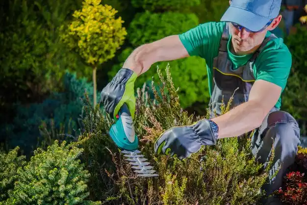 landscaping services St. Charles